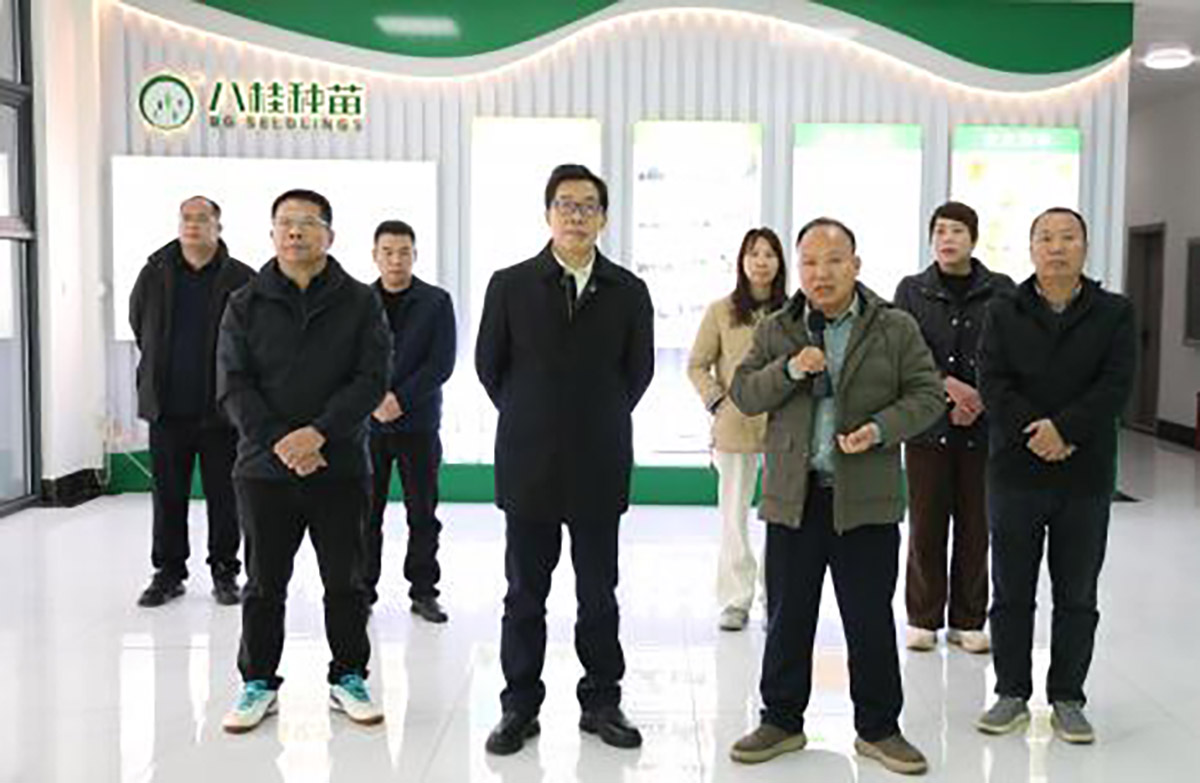 蔣桂雄到八桂種苗集團調(diào)研